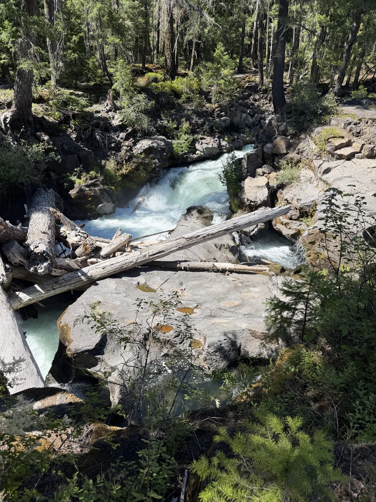 Clear blue-green water flowing between rocks and forest